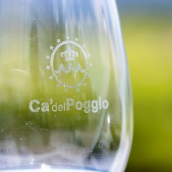 Ca_del_Poggio_Offerte_frizzante_Prosecco Ca_del_Poggio_Offerte_frizzante_Prosecco